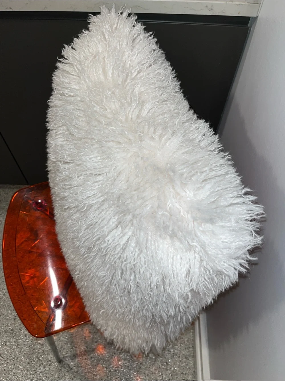 Amazing Beautiful REAL Mongolian Sheep  20 by 20 pillow with pillow insert